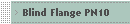 Blind Flange PN10