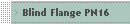 Blind Flange PN16