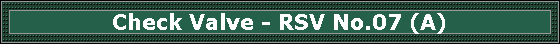 Check Valve - RSV No.07 (A)