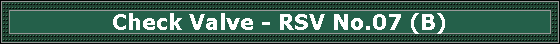 Check Valve - RSV No.07 (B)