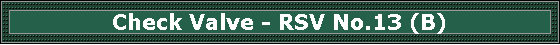 Check Valve - RSV No.13 (B)