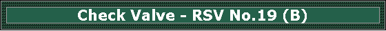 Check Valve - RSV No.19 (B)