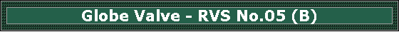 Globe Valve - RVS No.05 (B)