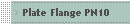 Plate Flange PN10