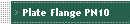 Plate Flange PN10