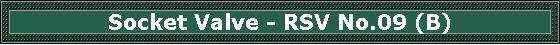 Socket Valve - RSV No.09 (B)